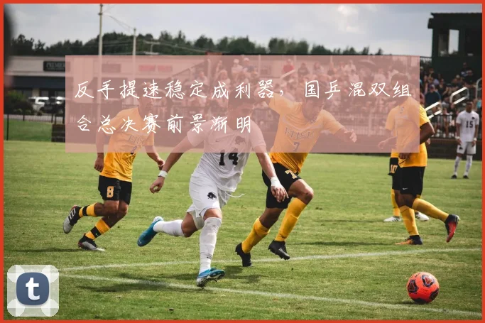 反手提速稳定成利器,国乒混双组合总决赛前景渐明 - 爱游戏推荐