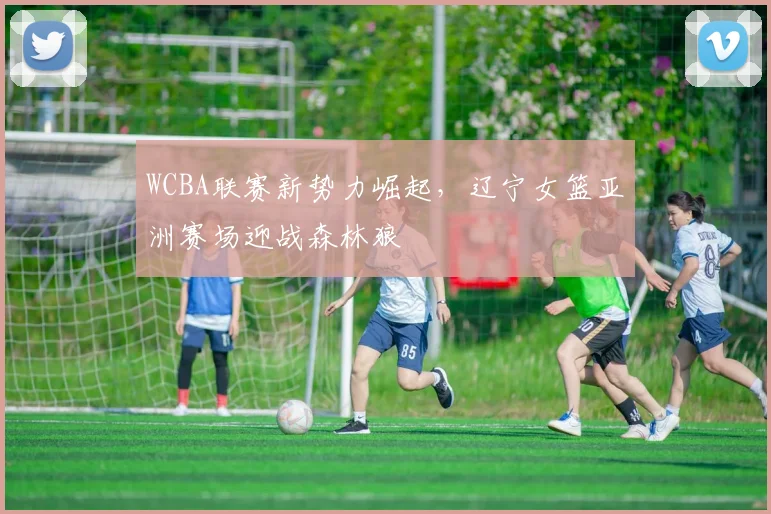 WCBA联赛新势力崛起，辽宁女篮亚洲赛场迎战森林狼 - 爱游戏推荐